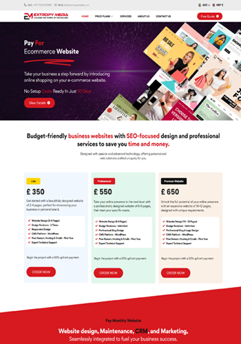 Responsive Website Project